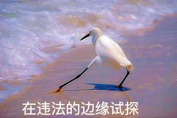 src=http-%2F%2Fwx2.sinaimg.cn%2Flarge%2F814268e3ly1fmxw10smx
