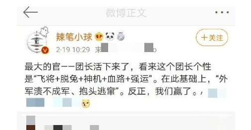 网民辣笔小球被批捕